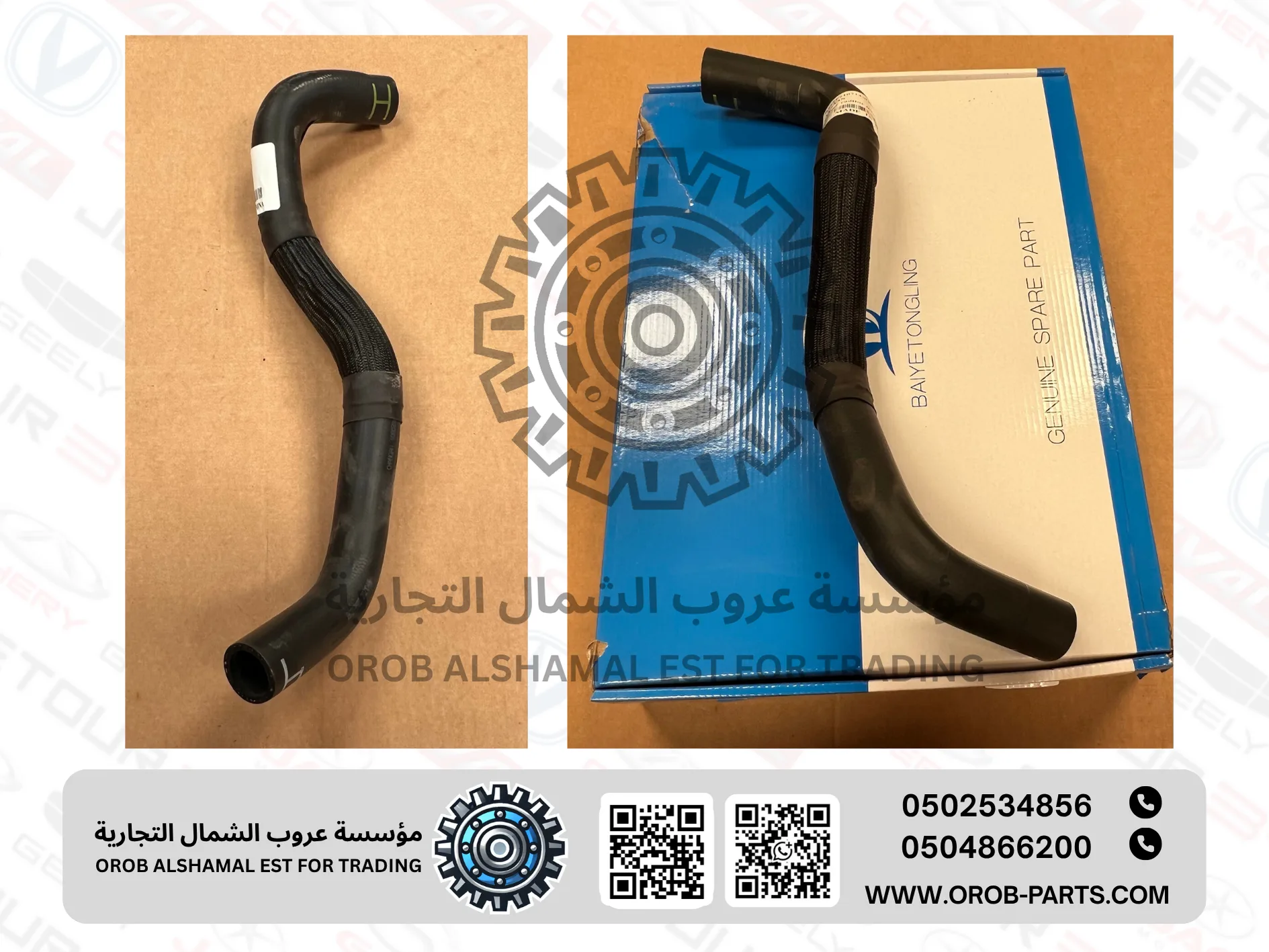 لي رديتر تحت - الـسـفـيـن 