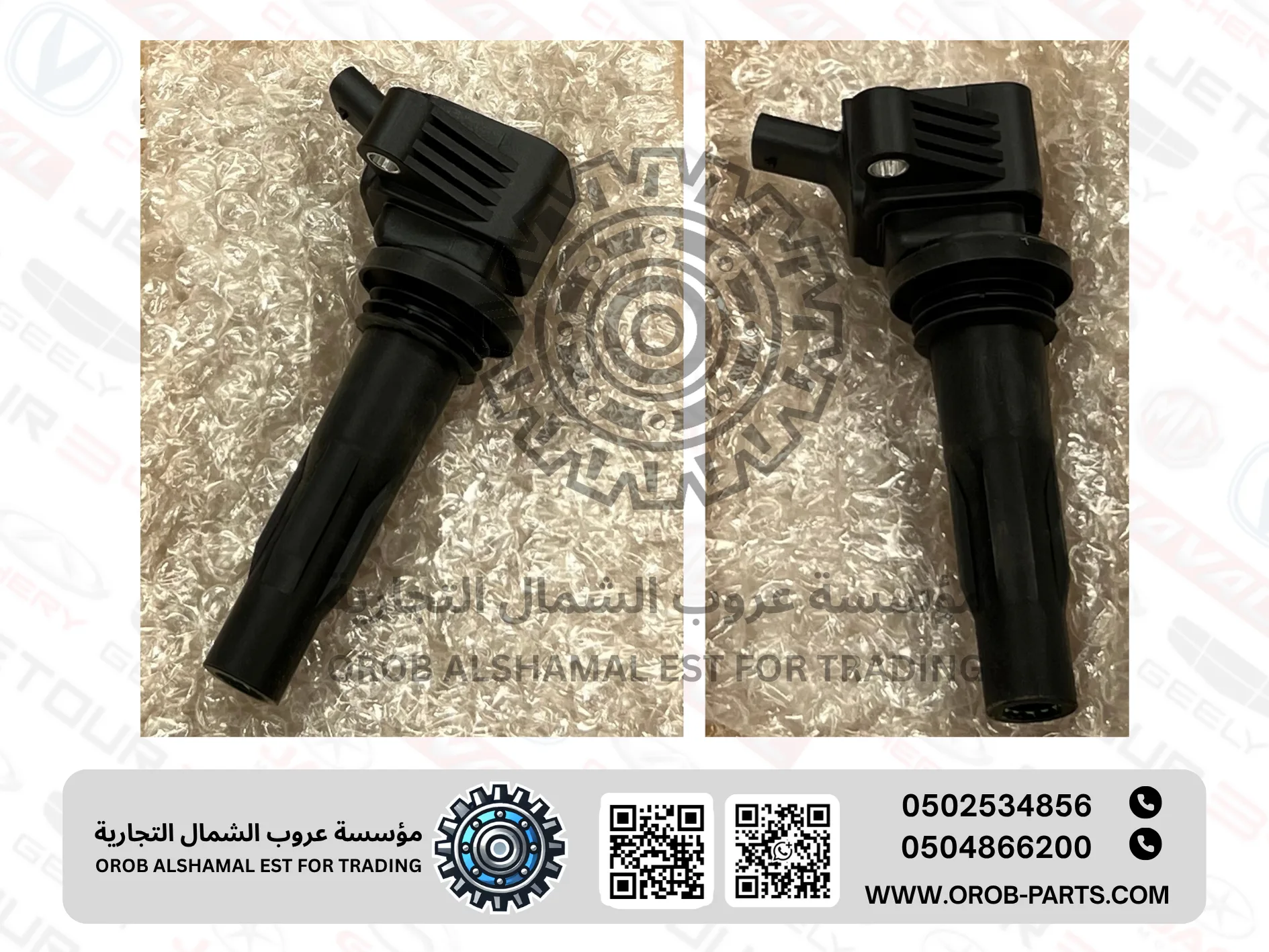 كويل - ام جي 6