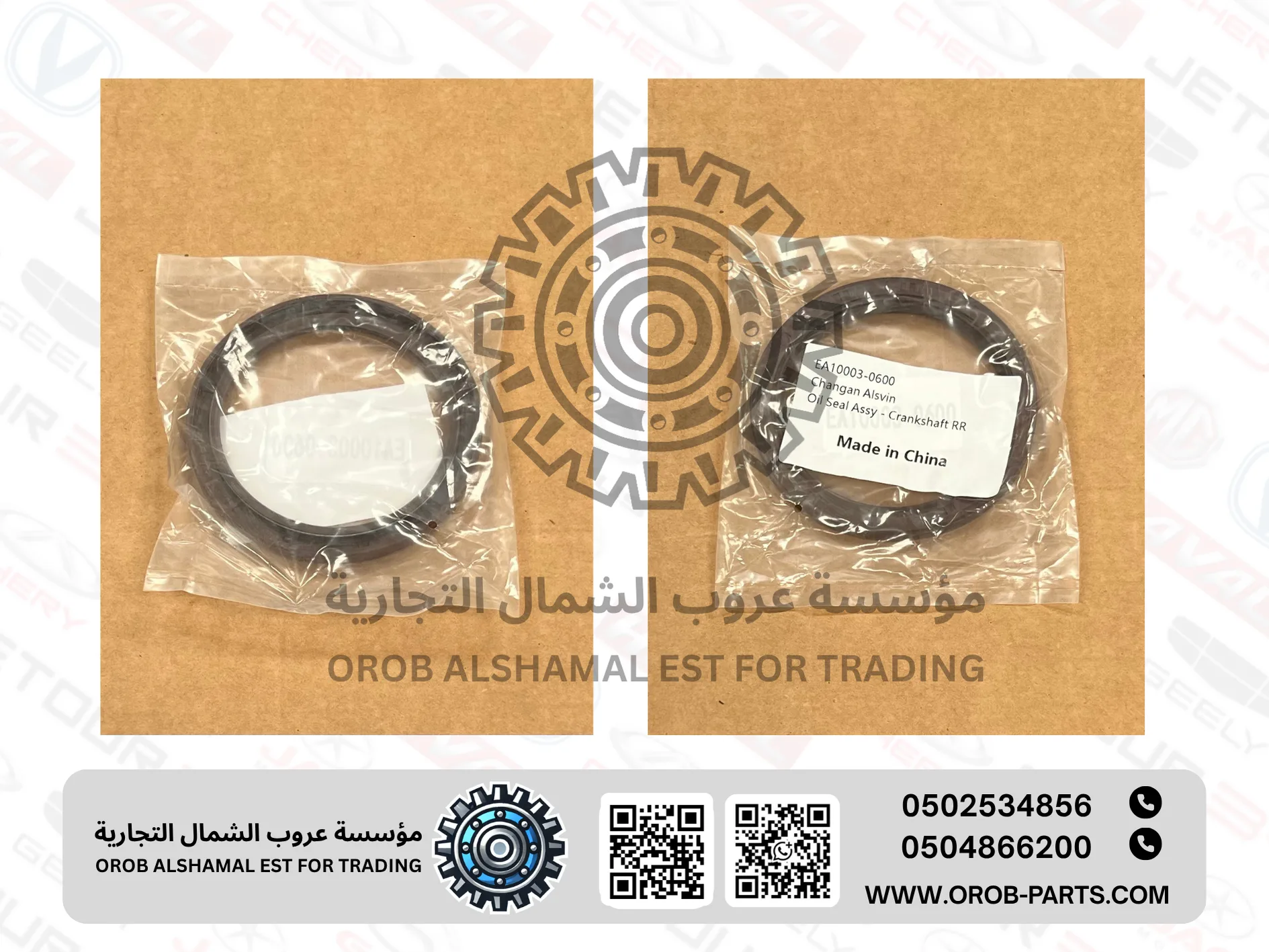 Rear Oil Seal - ALSVIN