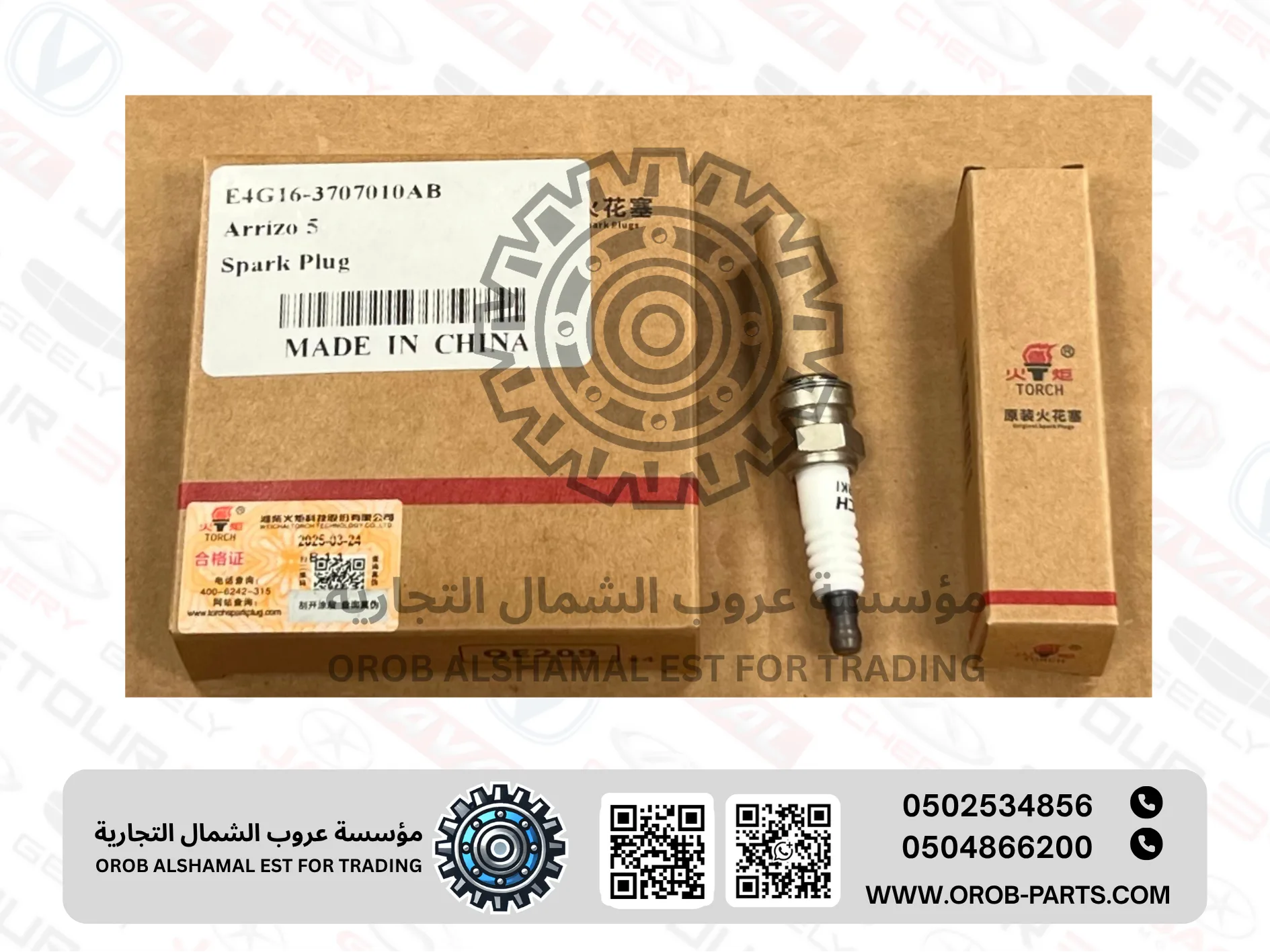 Spark Plug set - Arrizo 5
