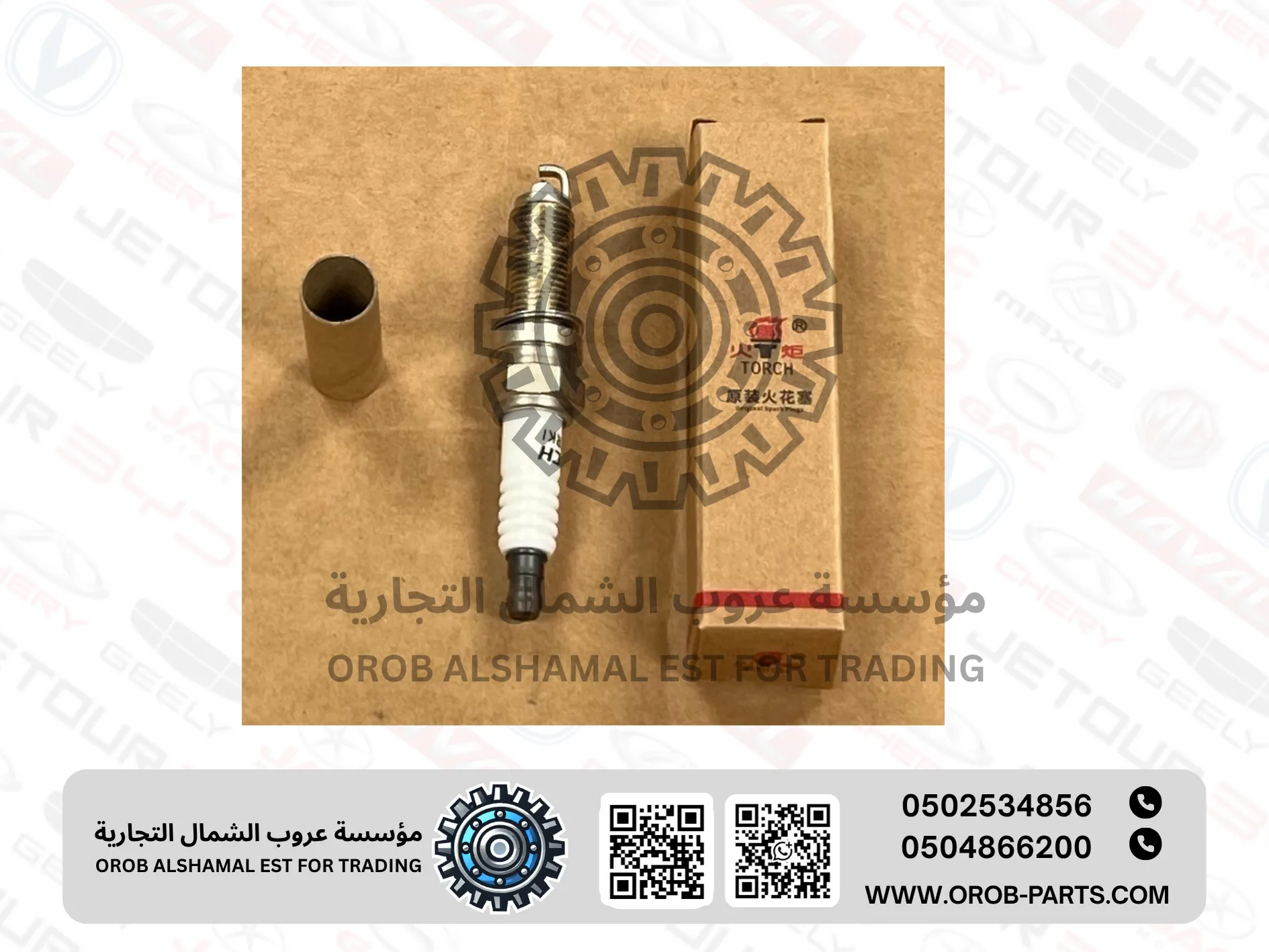 Spark Plug set - Arrizo 5